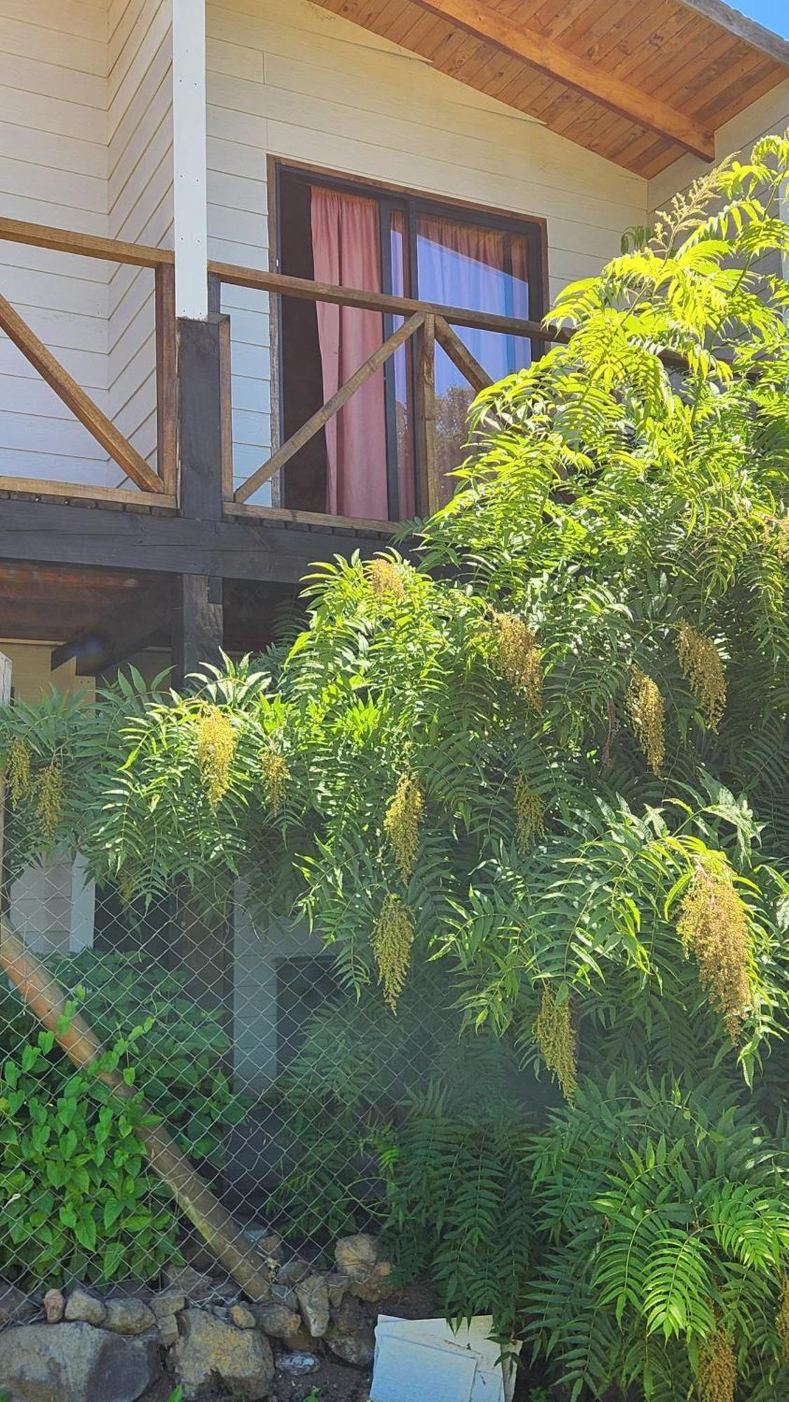 Mirador Volcan Villa Pucón